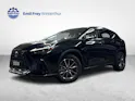 Lexus NX 350h Comfort