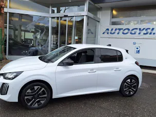 Peugeot e-208 Allure Helvetia (440)