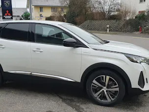 Peugeot 3008 4x4 300PS Allure Pack Helvetia (406)