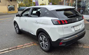 Peugeot 3008 4x4 300PS Allure Pack Helvetia (406)