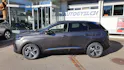 Peugeot 3008 Allure Pack Helvetia (412)