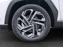 Hyundai Tucson 1.6 T-GDi HEV Vertex Swiss Edition 4WD