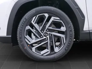 Hyundai Tucson 1.6 T-GDi HEV Vertex Swiss Edition 4WD