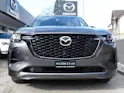 Mazda CX-60 3.3 D Homura Plus