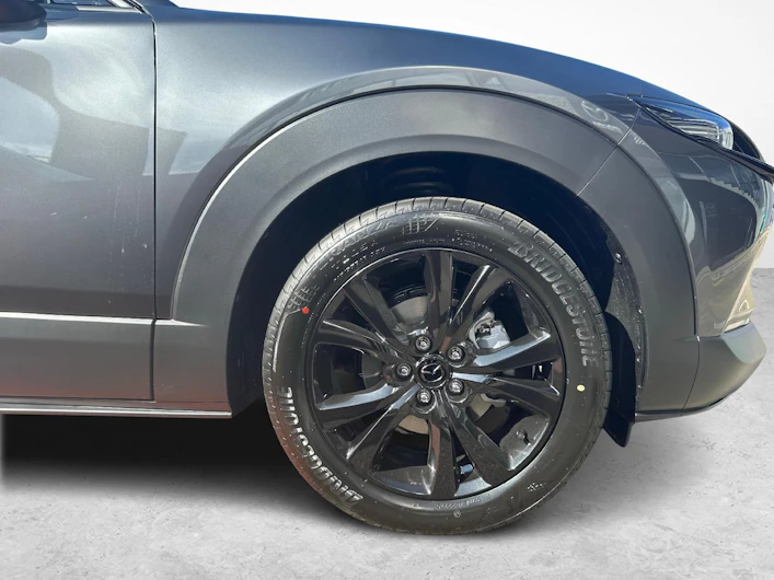 Fahrzeugbild MAZDA CX-30