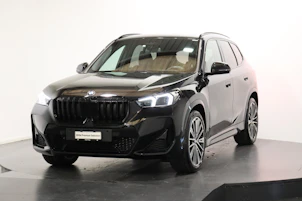 Fahrzeugbild BMW X1 20i sDrive paddles