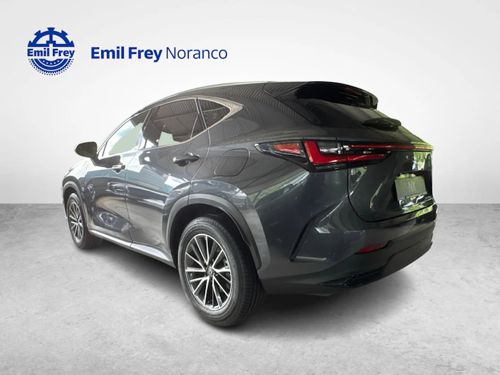 Fahrzeugbild LEXUS NX