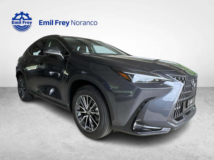Fahrzeugbild LEXUS NX