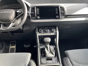 Škoda SKODA Karoq Dynamic limited Edition (Netto)
