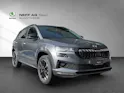 Škoda SKODA Karoq Dynamic limited Edition (Netto)