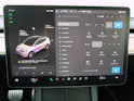 Tesla Model Y Performance