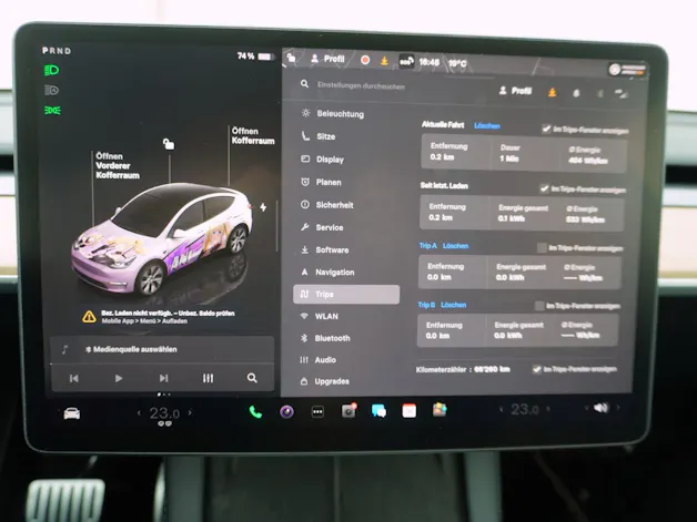 Tesla Model Y Performance