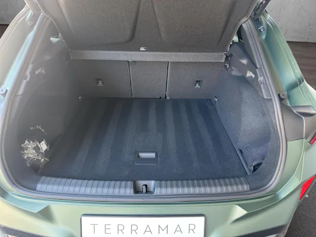 CUPRA Terramar 2.0 TSI DSG 4Drive VZ Tribe Edition "Grün Matt" Umbau