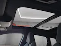 Cupra Terramar 2.0 TSI DSG 4Drive VZ Tribe Edition "Grün Matt"