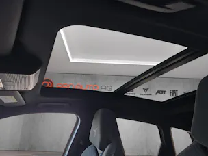 Cupra Terramar 2.0 TSI DSG 4Drive VZ Tribe Edition "Grün Matt"