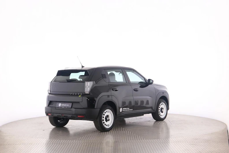 Fahrzeugbild FIAT GRANDE PANDA