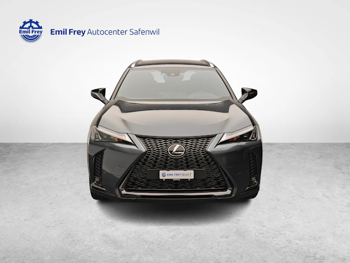 Fahrzeugbild LEXUS UX