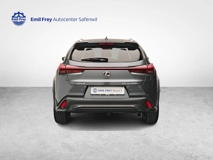 Fahrzeugbild LEXUS UX