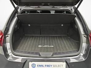 Fahrzeugbild LEXUS LEXUS UX 250h F-Line