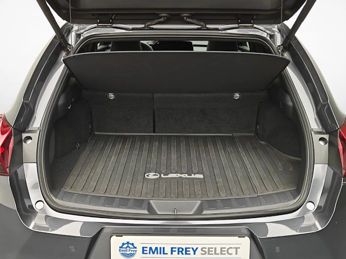 Fahrzeugbild LEXUS UX