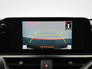 Fahrzeugbild LEXUS LEXUS UX 250h F-Line