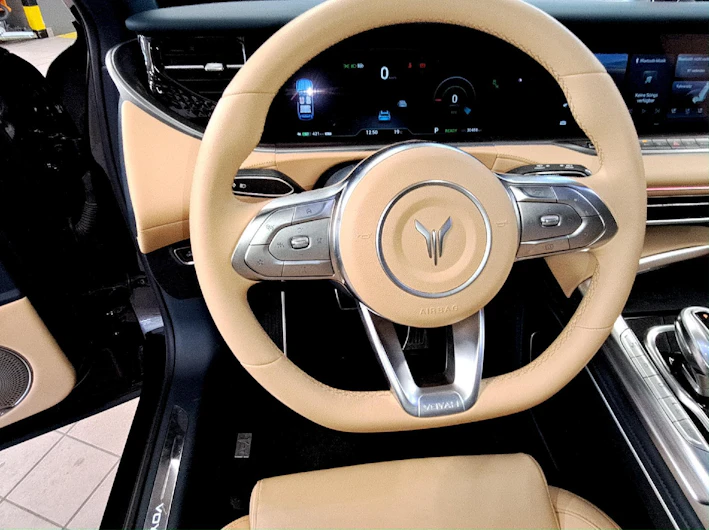 Fahrzeugbild VOYAH Free