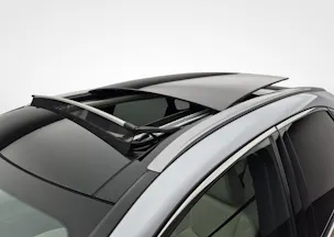 Lexus RX 450h + Excellence