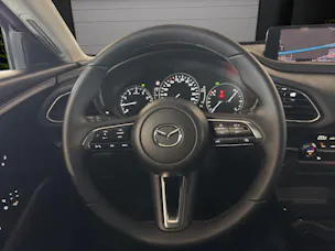 Mazda CX-30 SKYACTIV-X 186 M Hybrid Homura AWD AT