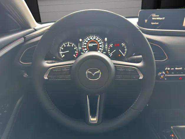 Mazda CX-30 SKYACTIV-X 186 M Hybrid Homura AWD AT