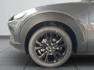 Mazda CX-30 SKYACTIV-X 186 M Hybrid Homura AWD AT