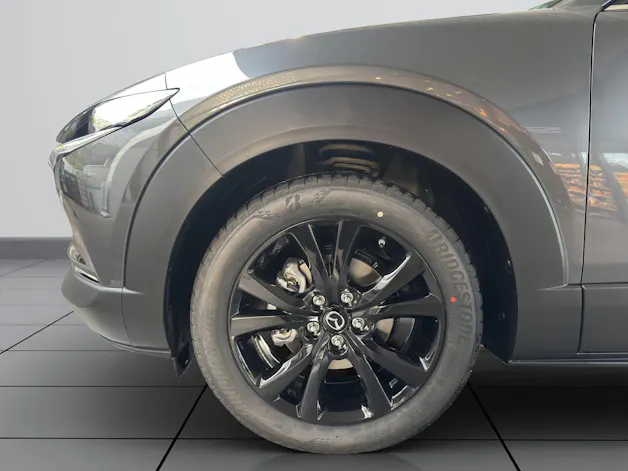 Mazda CX-30 SKYACTIV-X 186 M Hybrid Homura AWD AT