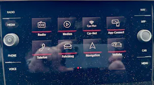 VW Polo 2.0 TSI GTI DSG
