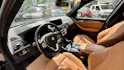 BMW X3 xDrive 30d Individual Luxury Line Steptronic