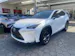 Lexus NX 300h F-Sport E-Four Automatic