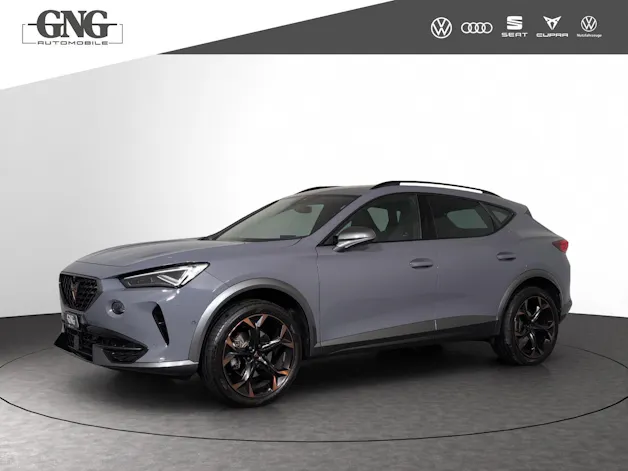 Cupra Formentor 2.0TSI 4Drive DSG