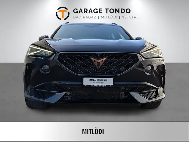 Cupra Formentor 2.0 TSI VZ 4Drive DSG