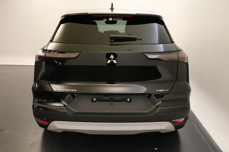 Fahrzeugbild MITSUBISHI GRANDIS