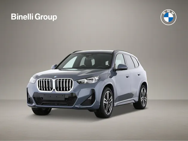 BMW X1 23i xDrive paddles