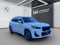 BMW X1 23i xDrive paddles