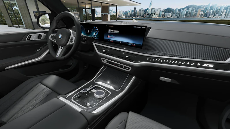 Fahrzeugbild BMW X5