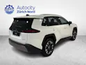 Toyota RAV4 2.5 Plug-In-Hybrid Trend