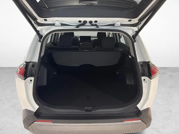 Toyota RAV4 2.5 Plug-In-Hybrid Trend