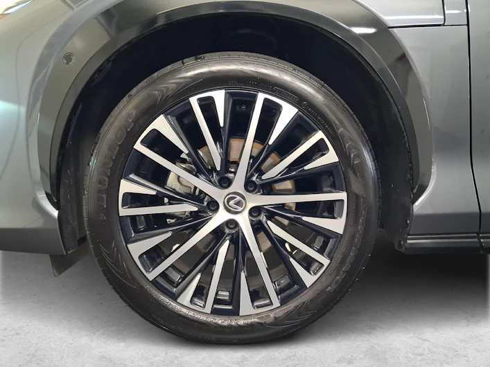 Fahrzeugbild LEXUS RZ