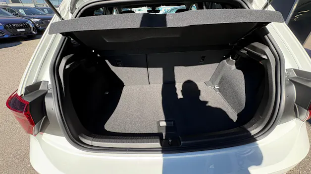 VW Polo 2.0 TSI GTI DSG