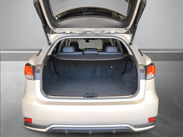 Lexus RX 450h X
