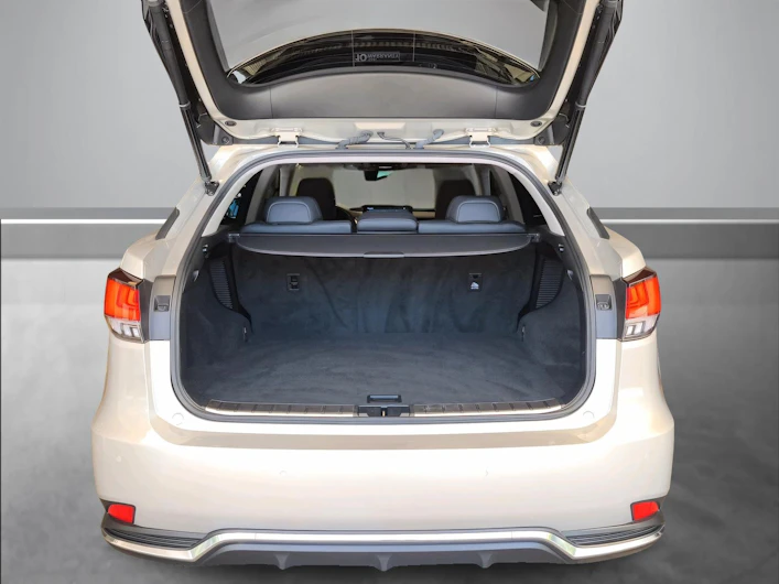 image du véhicule LEXUS RX