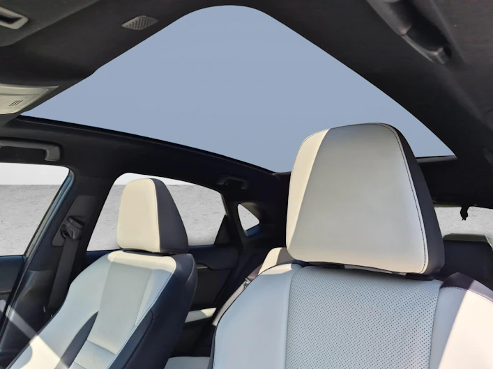immagine del veicolo LEXUS NX