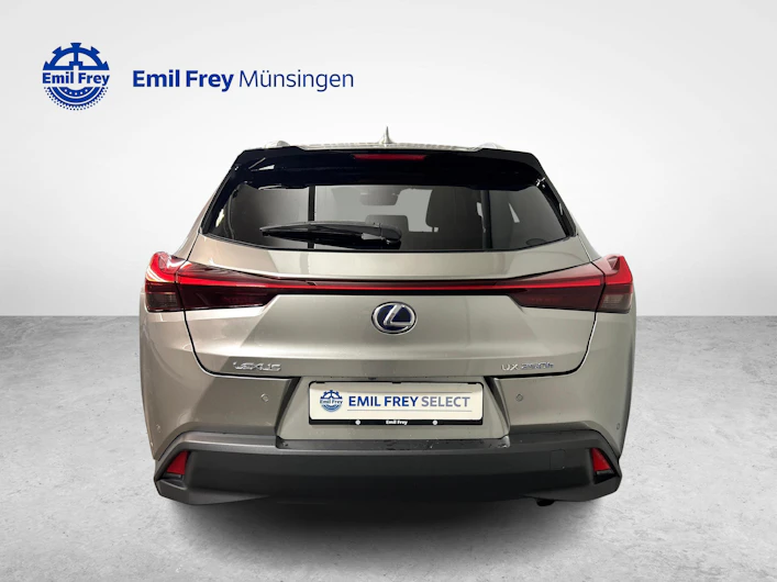 immagine del veicolo LEXUS UX