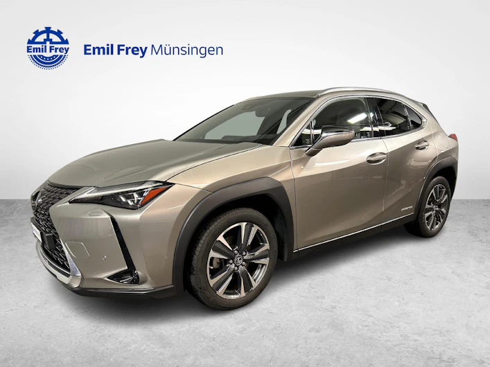 immagine del veicolo LEXUS UX