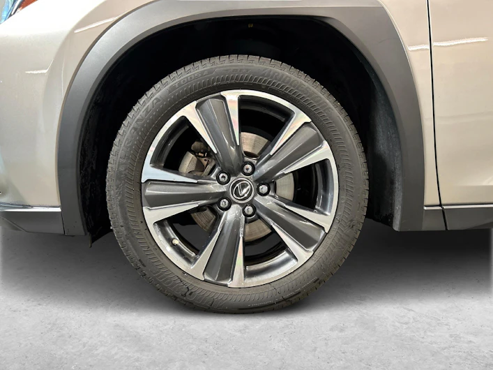 immagine del veicolo LEXUS UX